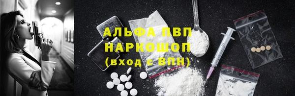 PSILOCYBIN Усмань