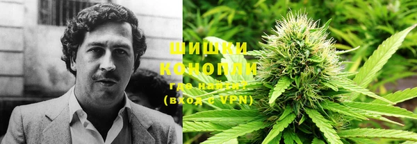 прущий лед Инсар