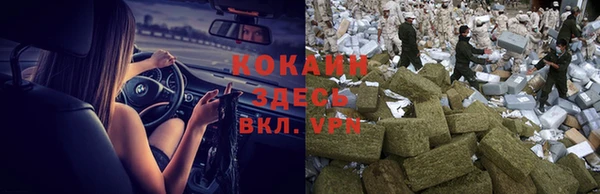 PSILOCYBIN Усмань