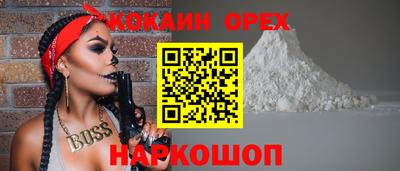 apvp Гатчина
