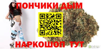 apvp Гатчина