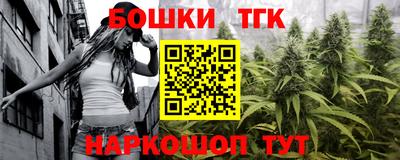 шишки Абакан