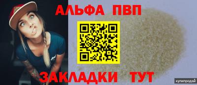 шишки Абакан