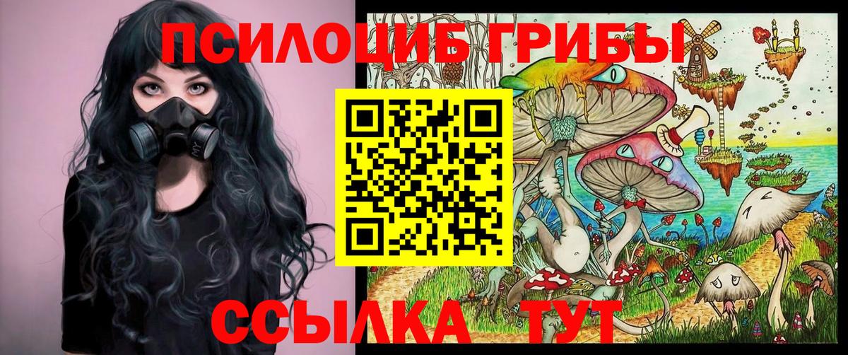 Галлюциногенные грибы Psilocybine cubensis Анжеро-Судженск