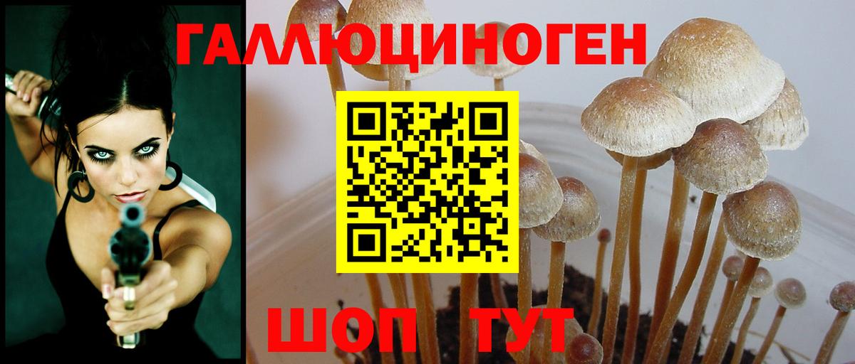 Псилоцибиновые грибы MAGIC MUSHROOMS  купить наркотик  Анжеро-Судженск 