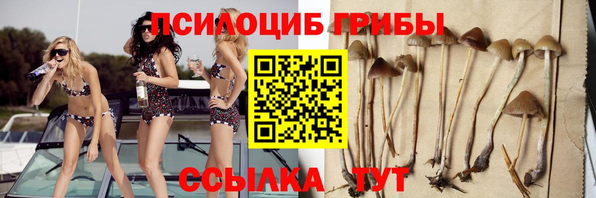 Галлюциногенные грибы ЛСД  Вход с VPN  Анжеро-Судженск 