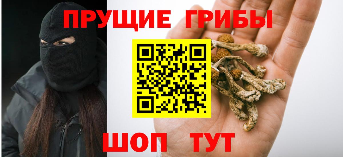 Псилоцибиновые грибы Magic Shrooms Анжеро-Судженск